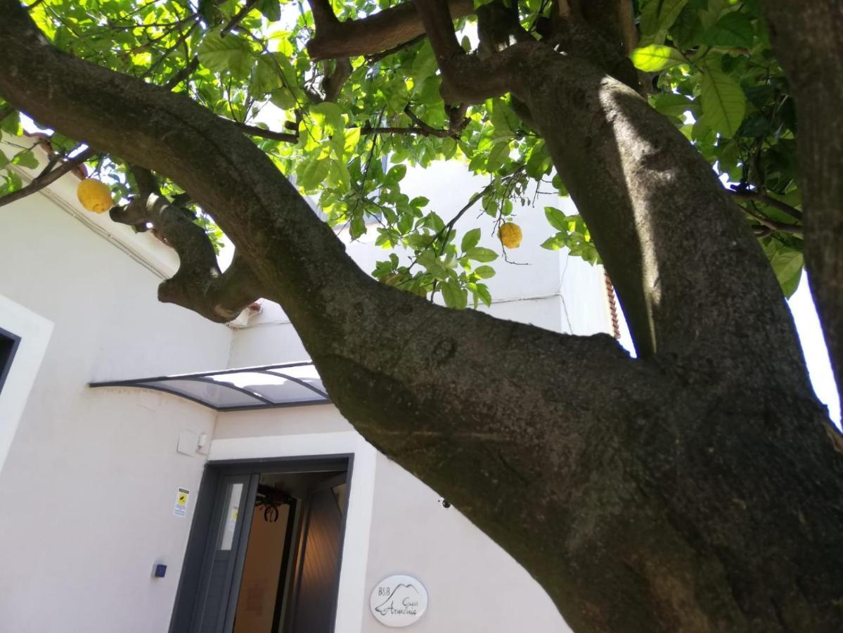 טורה דל גרקו B&B Guest Armonie מראה חיצוני תמונה