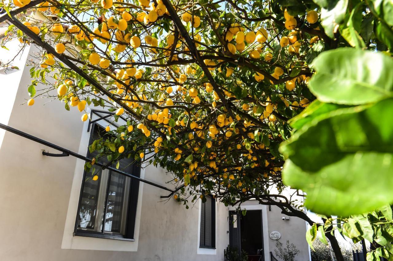 טורה דל גרקו B&B Guest Armonie מראה חיצוני תמונה