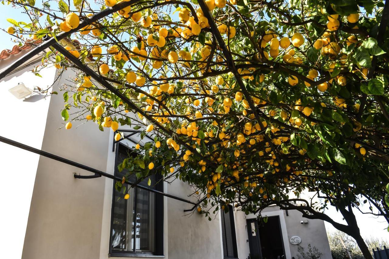 טורה דל גרקו B&B Guest Armonie מראה חיצוני תמונה