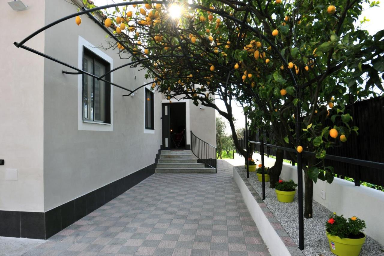 טורה דל גרקו B&B Guest Armonie מראה חיצוני תמונה